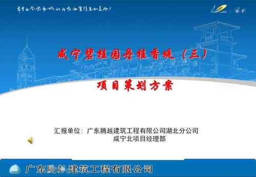 旅游開(kāi)發(fā)項(xiàng)目策劃咨詢(xún)與執(zhí)行指南